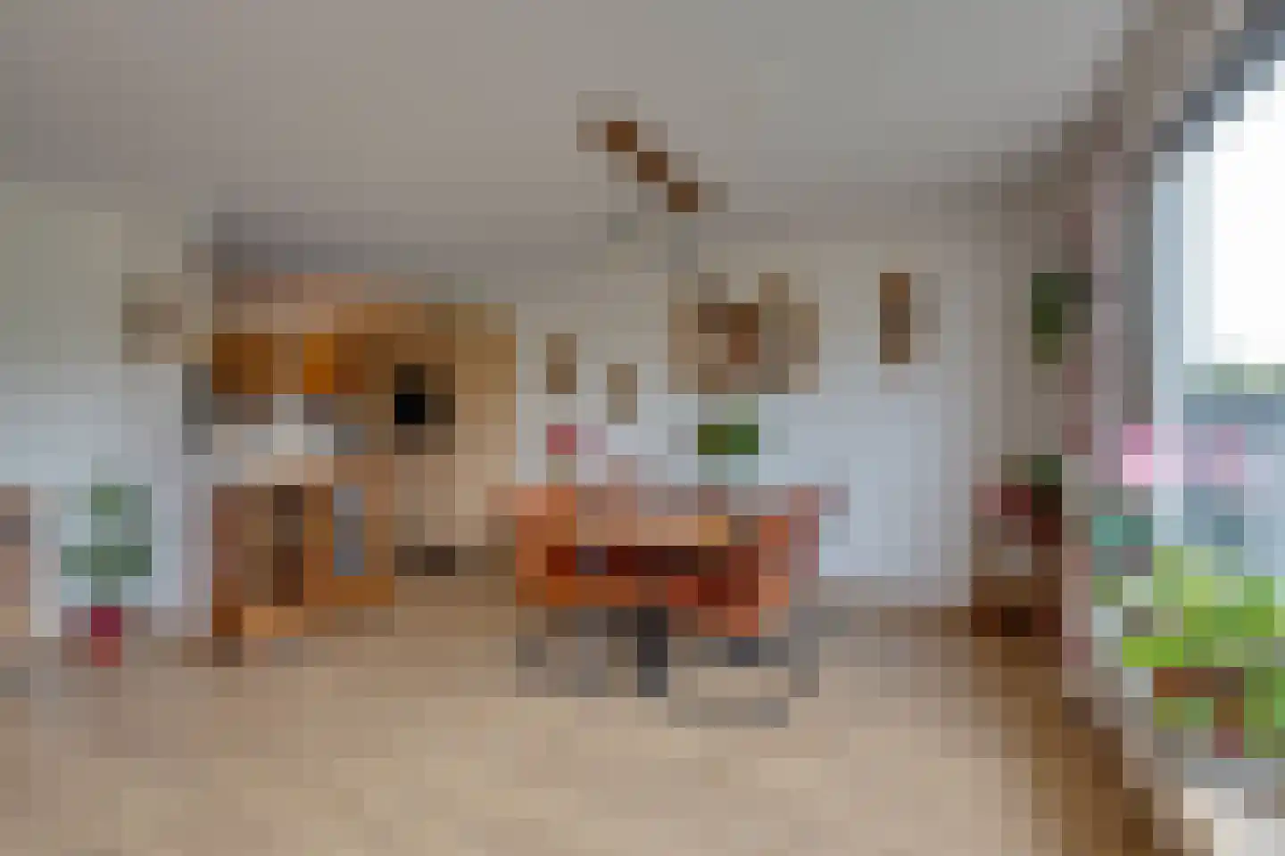 Gooimeer 89 Purmerend thumbnail 18
