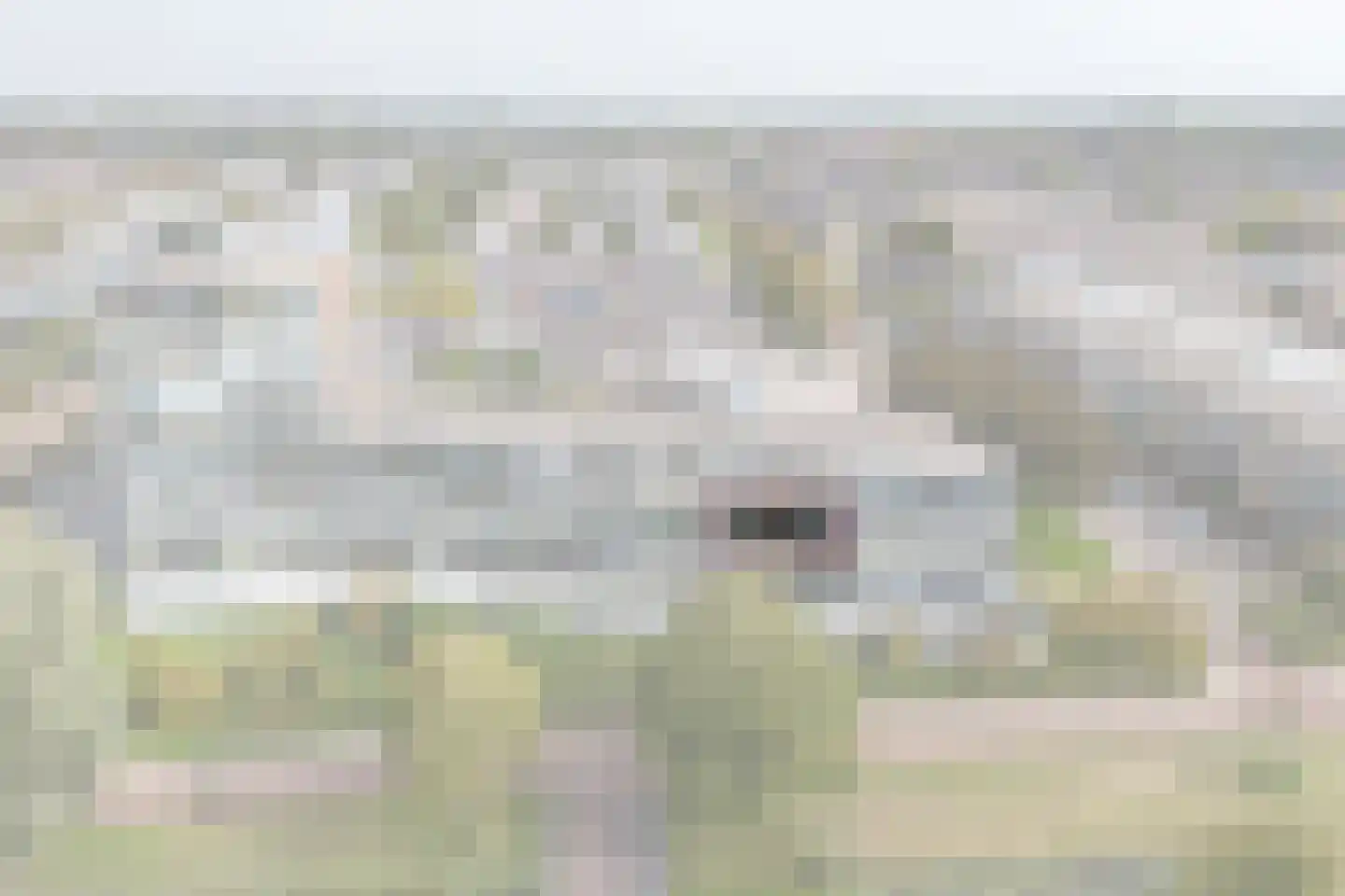 Gooimeer 89 Purmerend thumbnail 42