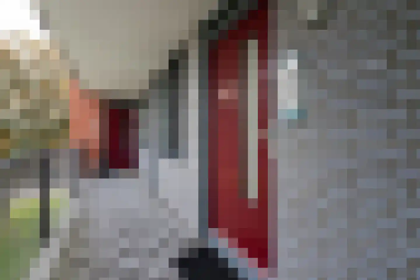 Gooimeer 89 Purmerend thumbnail 8
