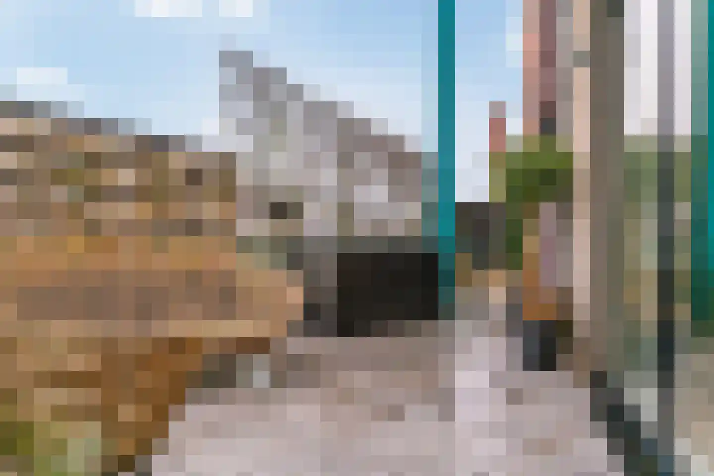 Gooimeer 97 Purmerend thumbnail 17