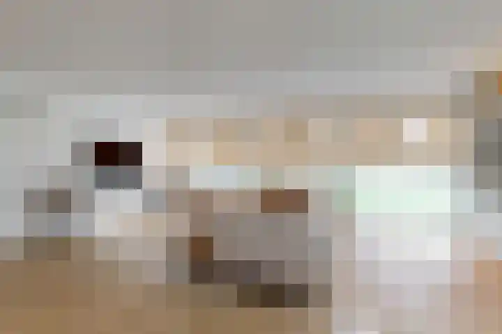 Gooimeer 97 Purmerend thumbnail 6