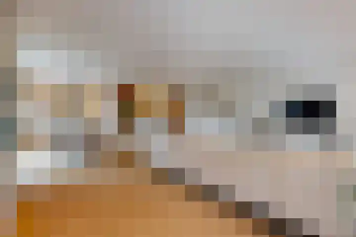 Gooimeer 97 Purmerend thumbnail 9