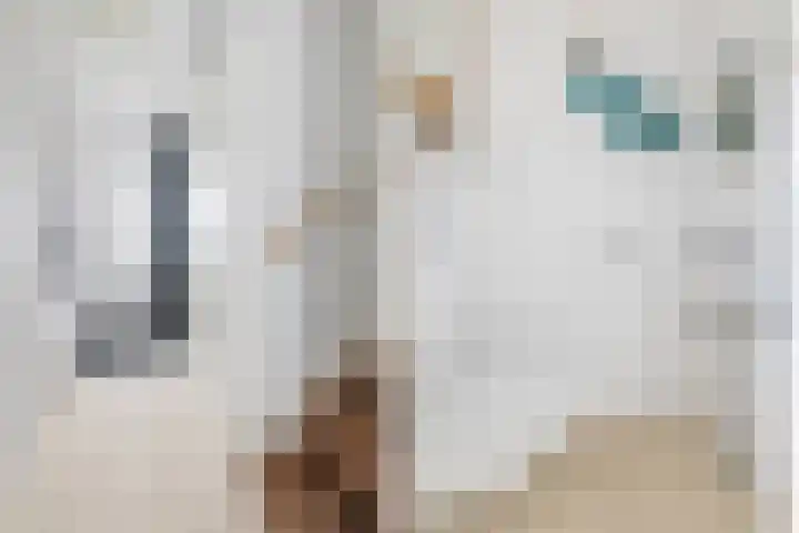Gooimeerhof 24 Berkel en Rodenrijs thumbnail 10