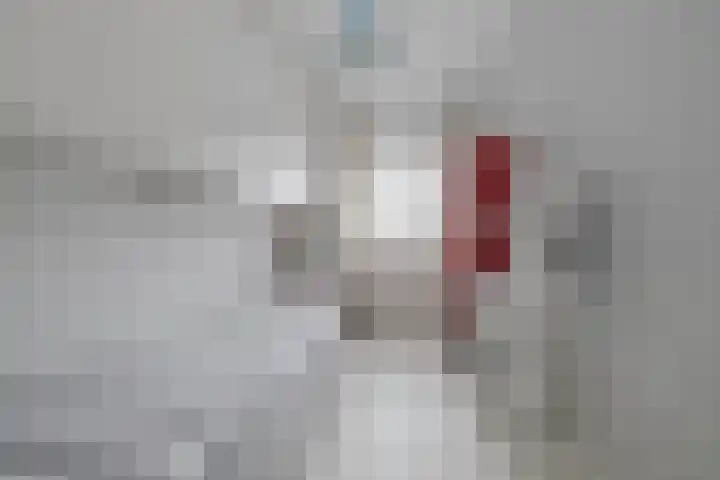 Gooimeerhof 24 Berkel en Rodenrijs thumbnail 11