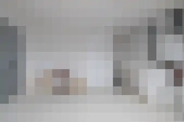 Gooimeerhof 24 Berkel en Rodenrijs thumbnail 20