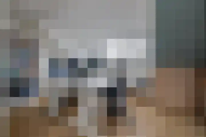 Gooimeerhof 24 Berkel en Rodenrijs thumbnail 21