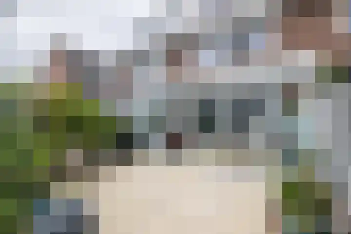 Gooimeerhof 24 Berkel en Rodenrijs thumbnail 22