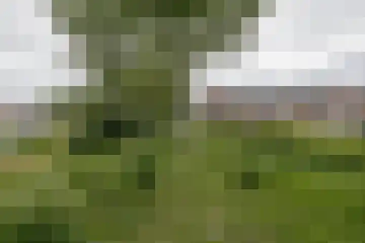 Gooimeerhof 24 Berkel en Rodenrijs thumbnail 24