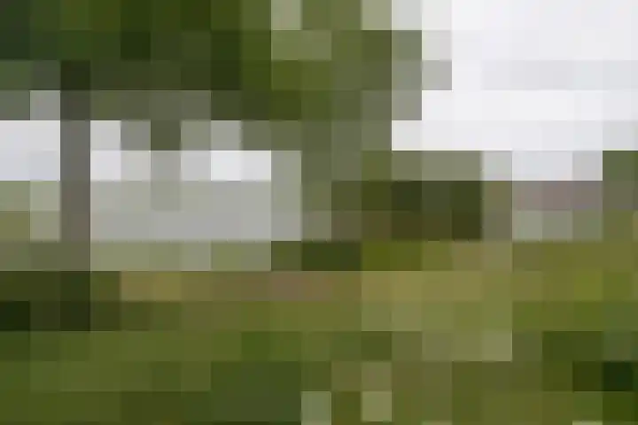 Gooimeerhof 24 Berkel en Rodenrijs thumbnail 25