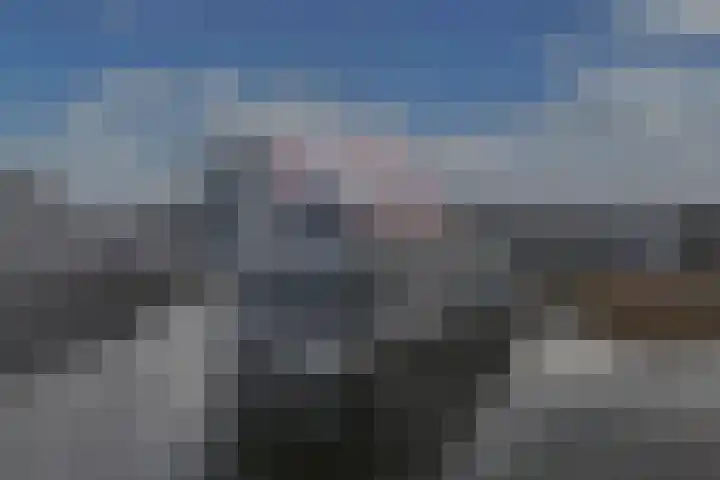 Gooimeerpromenade 115 Huizen thumbnail 4