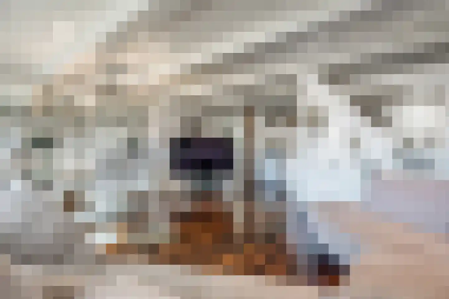 Gooische Kaai 12 Monnickendam thumbnail 17