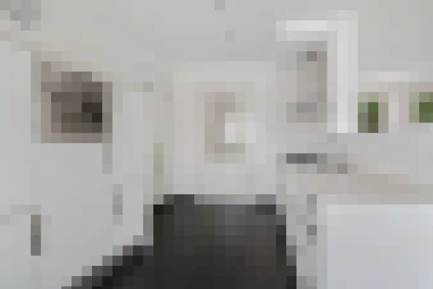 Gooische Kaai 16 Monnickendam thumbnail 16