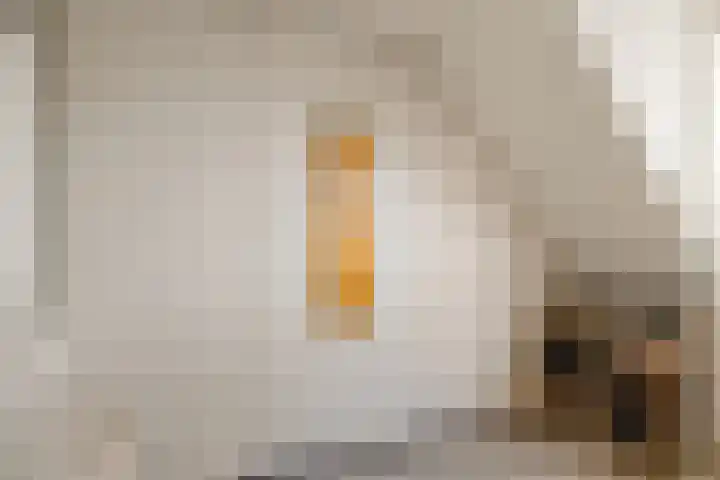 Gooische Kaai 7 Monnickendam thumbnail 23