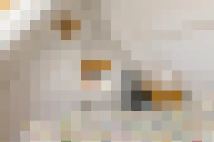 Gooische Kaai 7 Monnickendam thumbnail 32