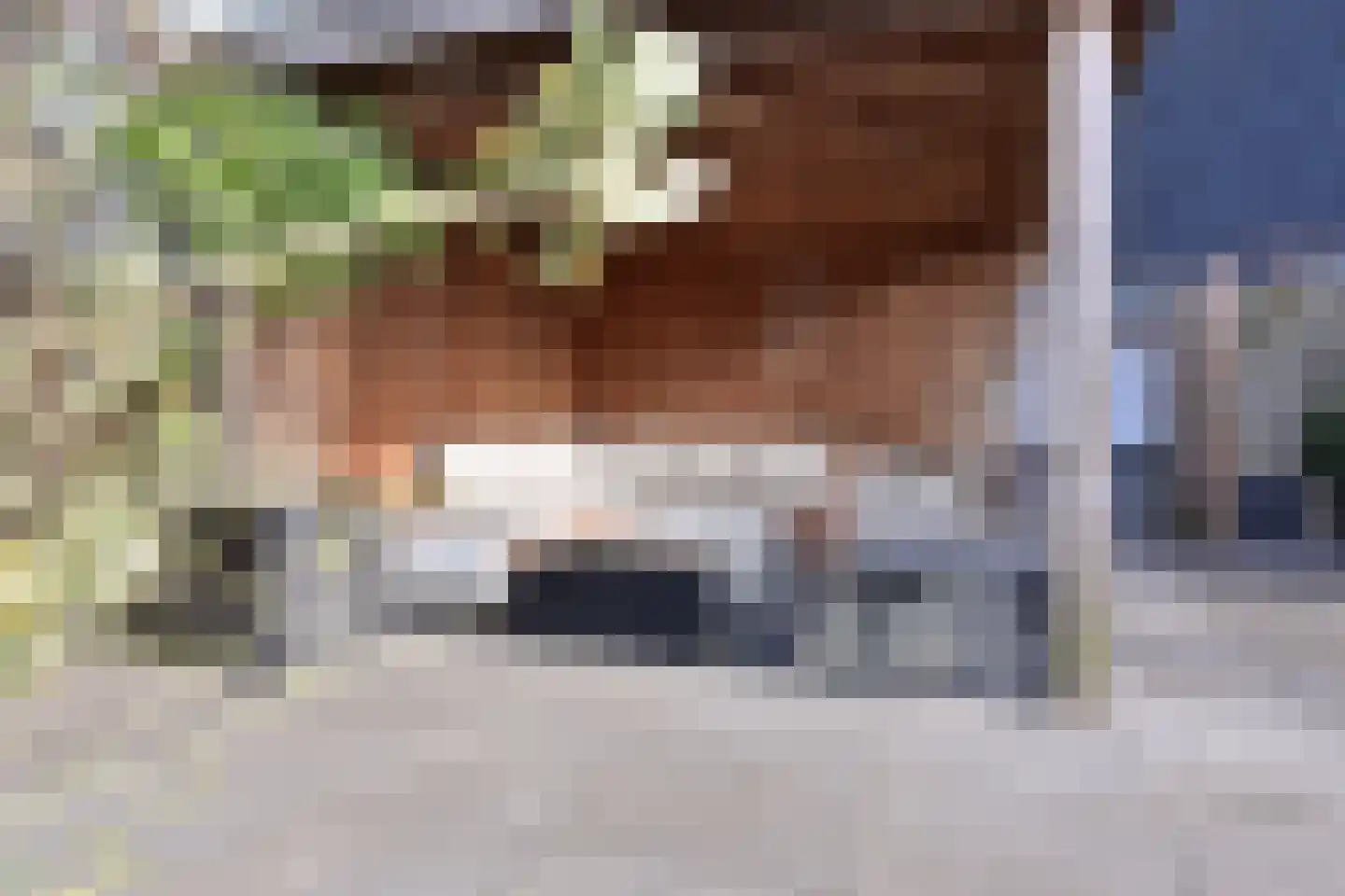 Gooischedreef 3 Blaricum thumbnail 12