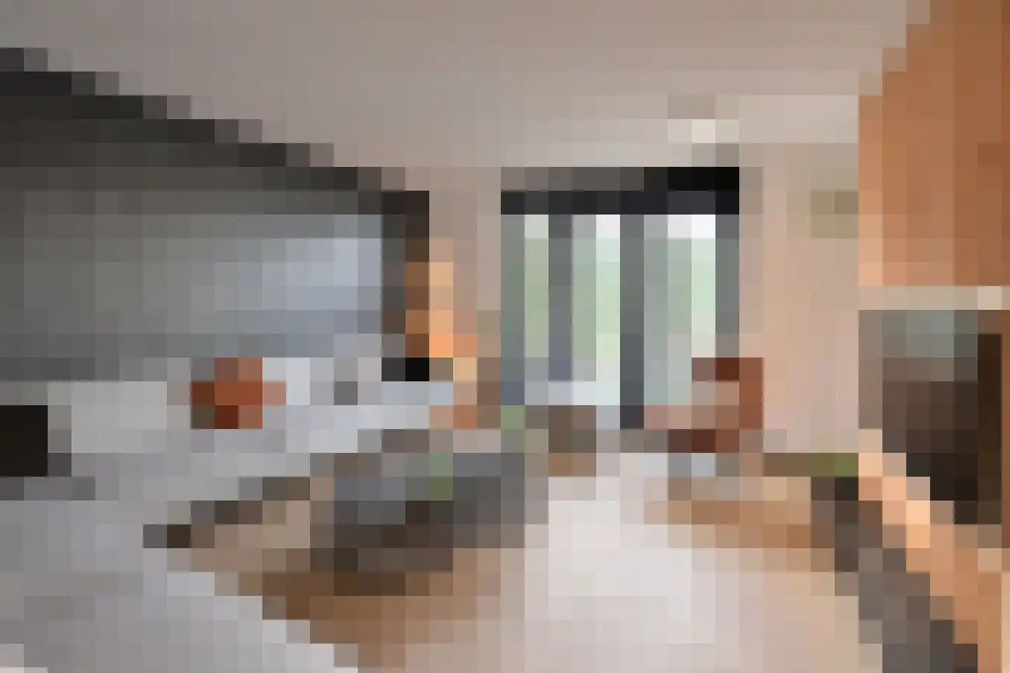 Gooischedreef 3 Blaricum thumbnail 17