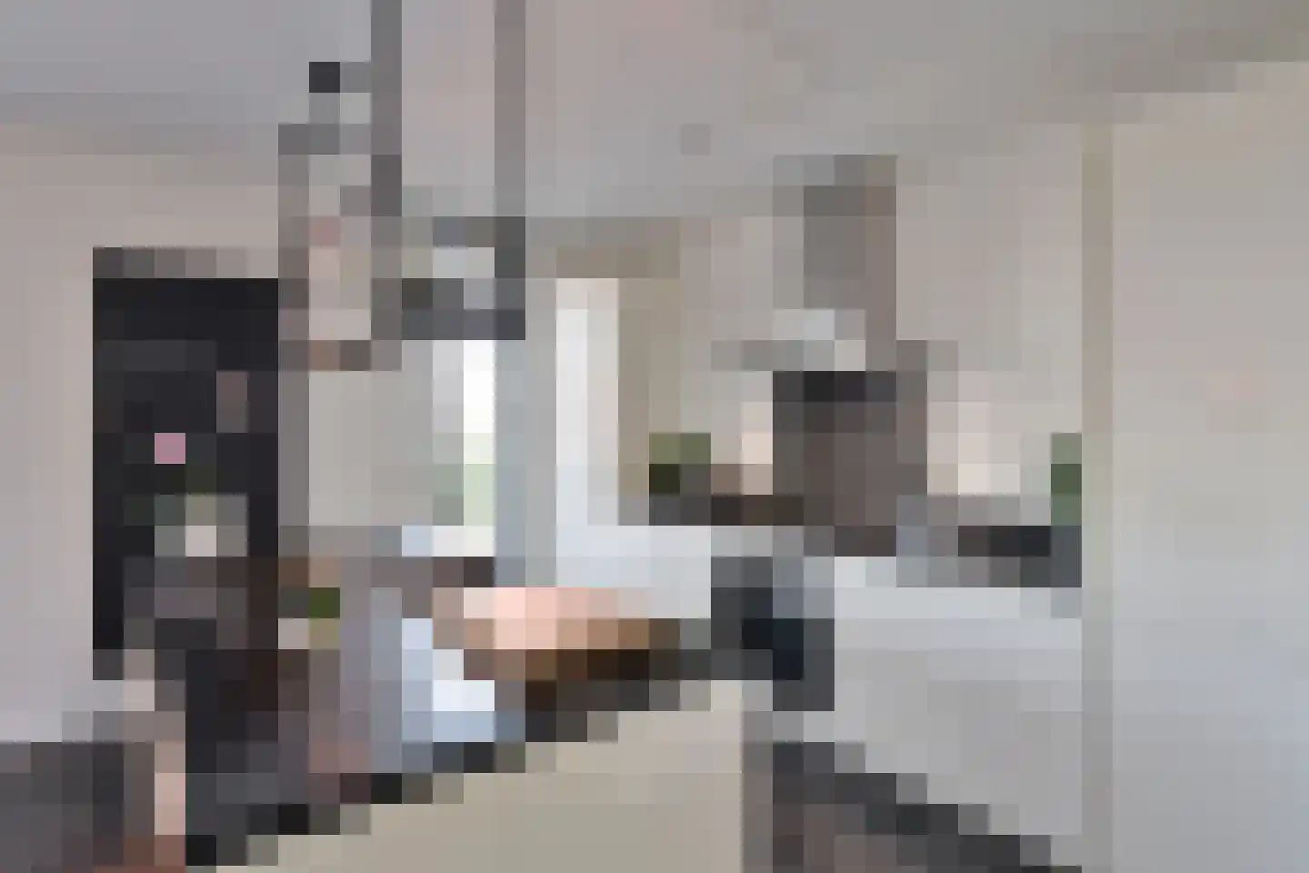 Gooischedreef 3 Blaricum thumbnail 19