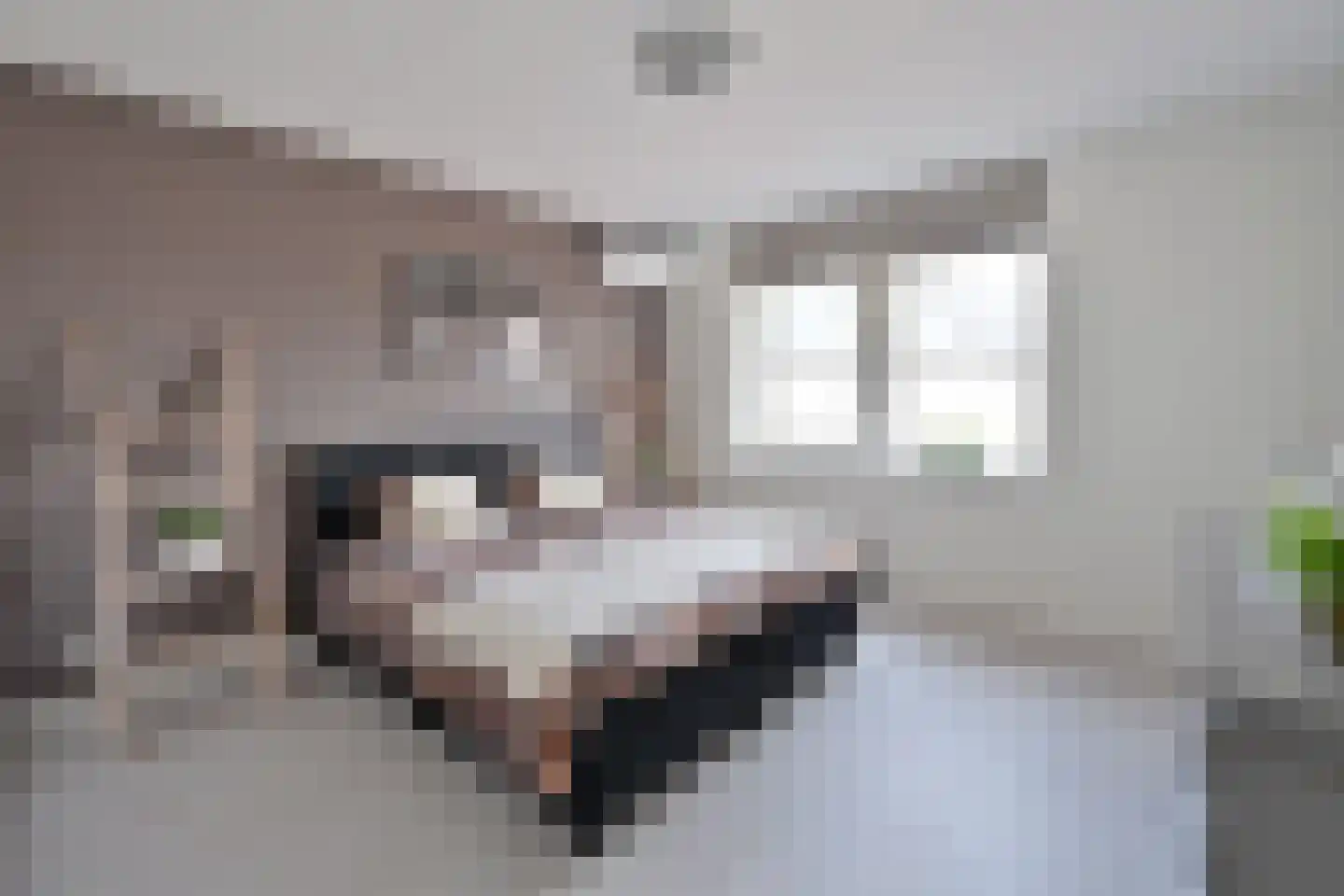 Gooischedreef 3 Blaricum thumbnail 23