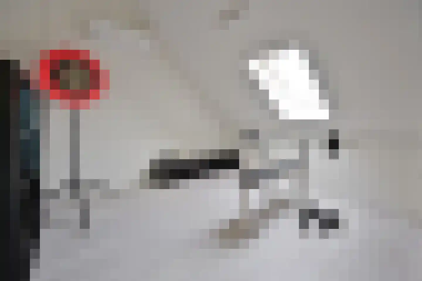 Gooischedreef 3 Blaricum thumbnail 32