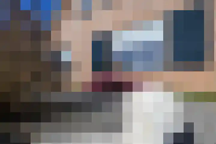 Gooischelaan 2 Zuidland thumbnail 13