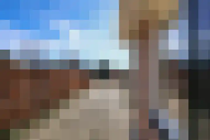 Gooischelaan 2 Zuidland thumbnail 14