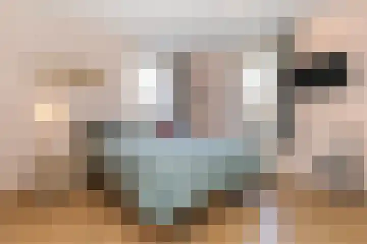 Gooischelaan 2 Zuidland thumbnail 21