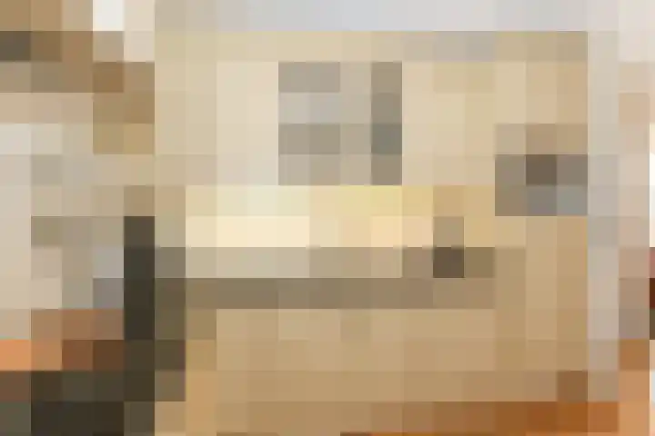 Gooischelaan 2 Zuidland thumbnail 32