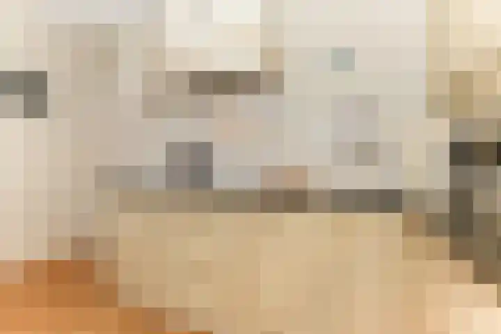 Gooischelaan 2 Zuidland thumbnail 33
