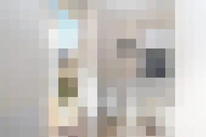Gooischelaan 2 Zuidland thumbnail 35