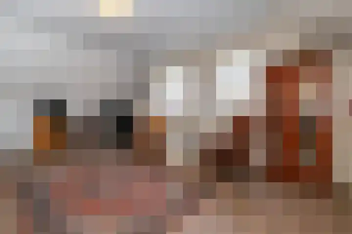 Gooischelaan 2 Zuidland thumbnail 42