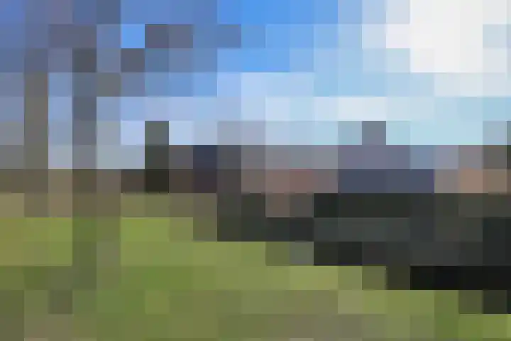Gooischelaan 2 Zuidland thumbnail 6