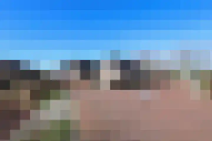 Gooischelaan 2 Zuidland thumbnail 7