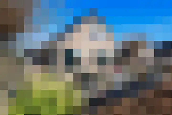 Gooischelaan 2 Zuidland thumbnail 9