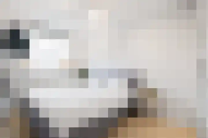 Gooise Kant 106 Amsterdam thumbnail 19