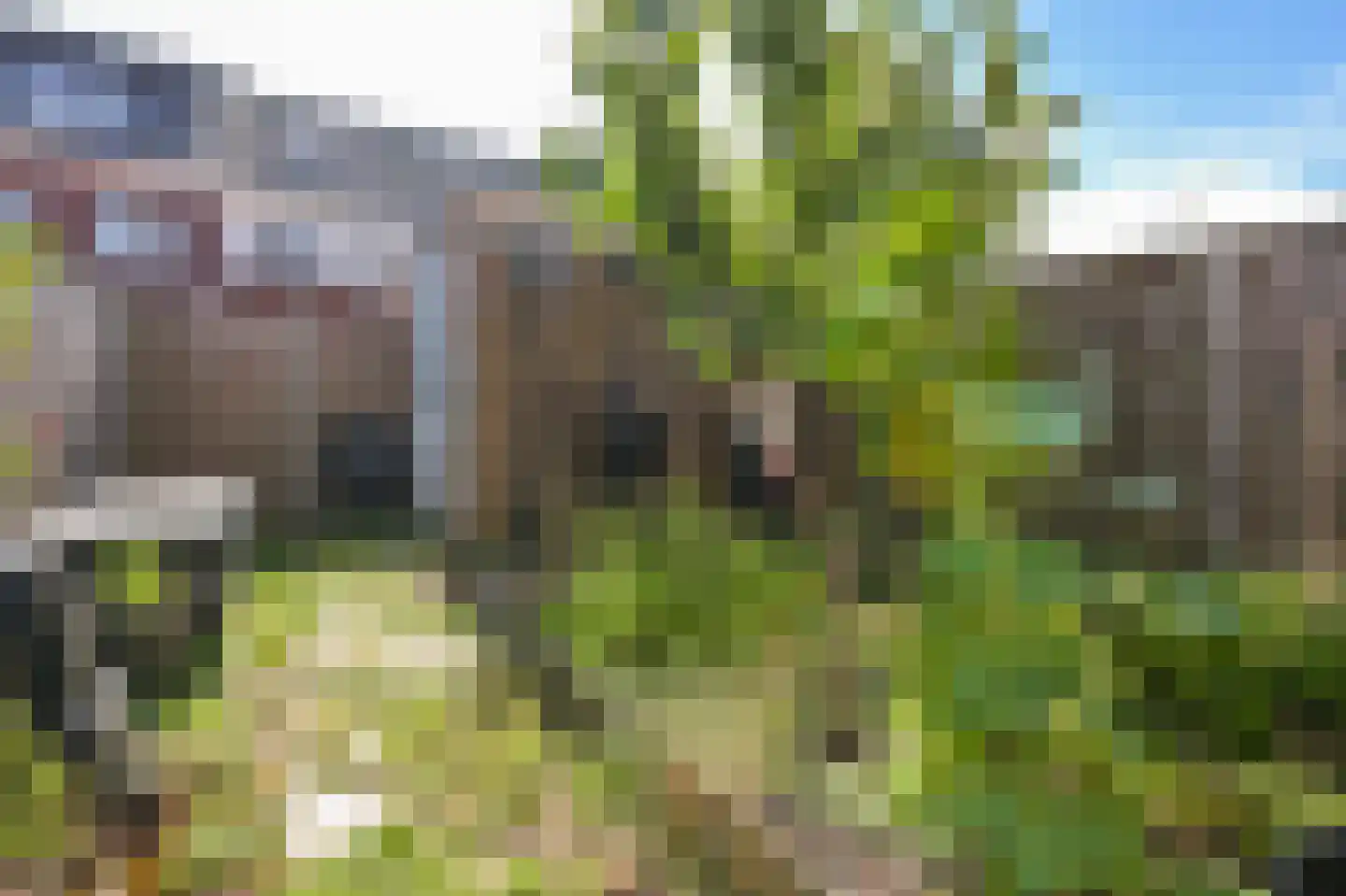 Gooise Kant 107 Amsterdam thumbnail 13