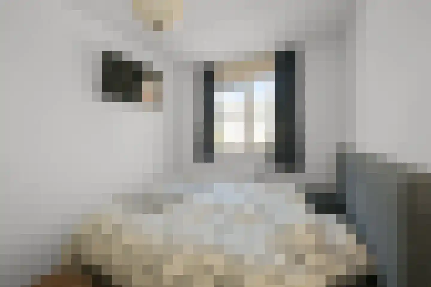 Gooise Kant 107 Amsterdam thumbnail 25