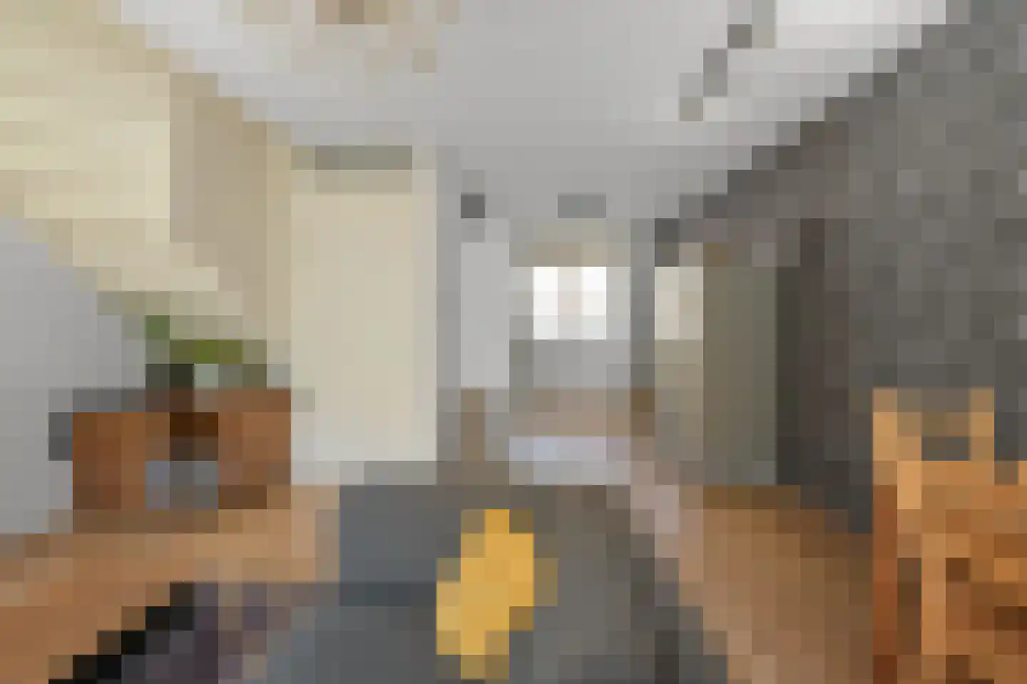 Gooise Kant 107 Amsterdam thumbnail 7