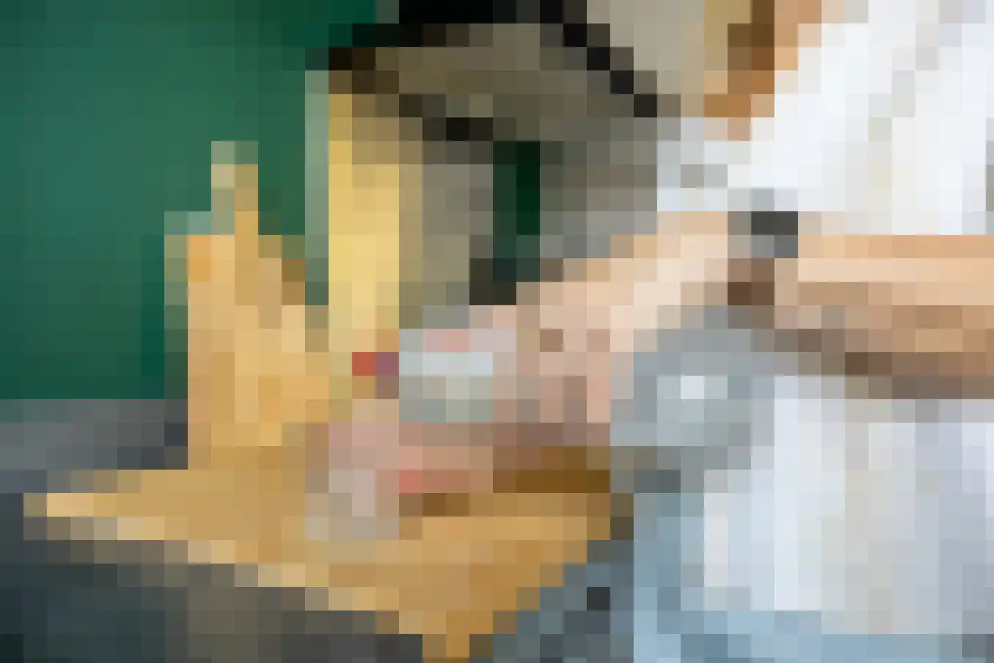 Gooise Kant 117 Amsterdam thumbnail 19
