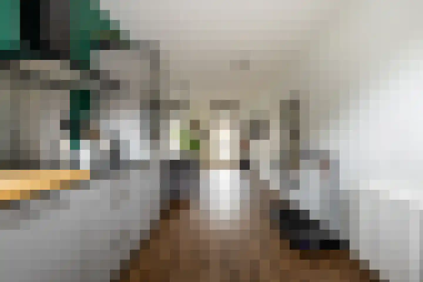 Gooise Kant 117 Amsterdam thumbnail 20