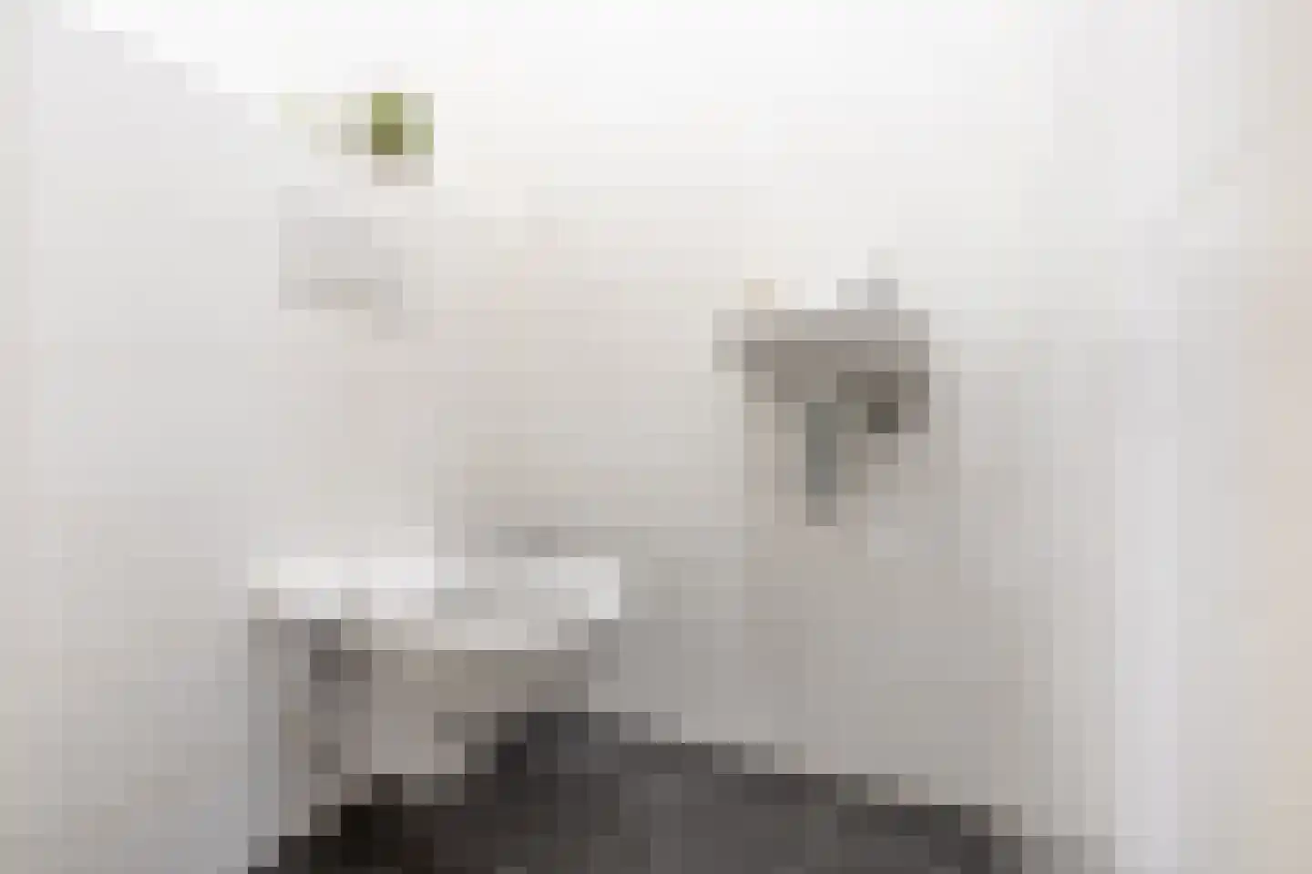 Gooise Kant 117 Amsterdam thumbnail 21