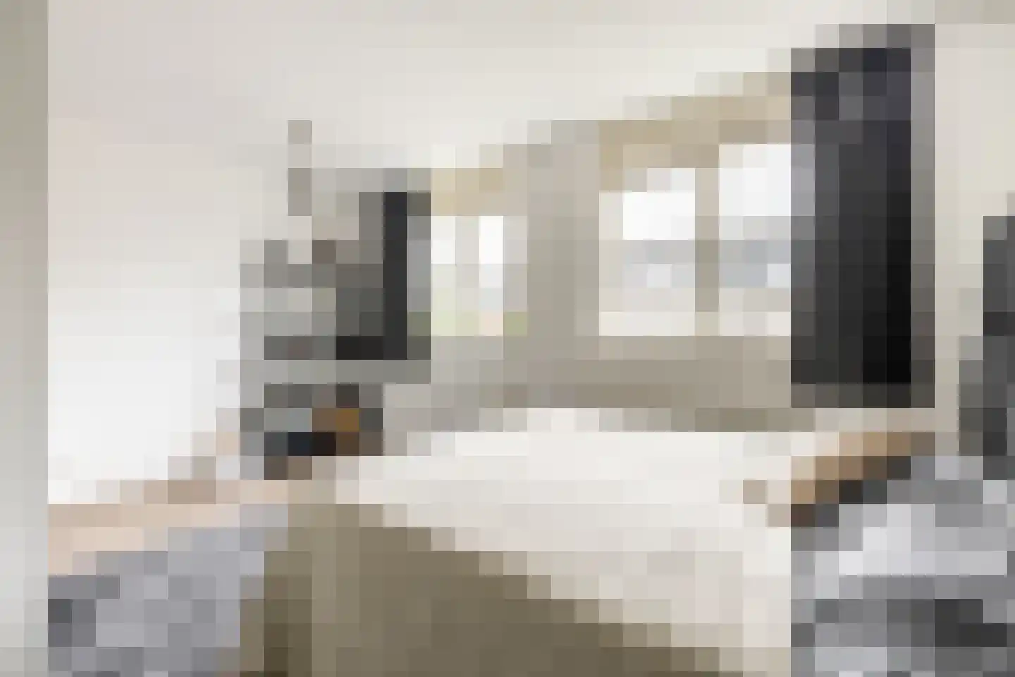Gooise Kant 117 Amsterdam thumbnail 24