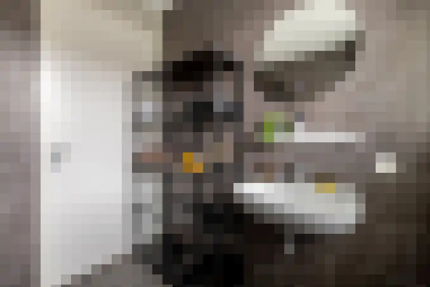 Gooise Kant 117 Amsterdam thumbnail 30