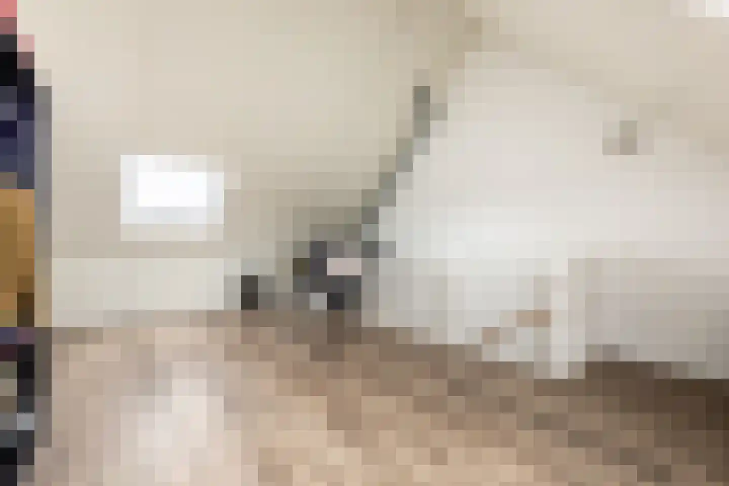 Gooise Kant 117 Amsterdam thumbnail 34