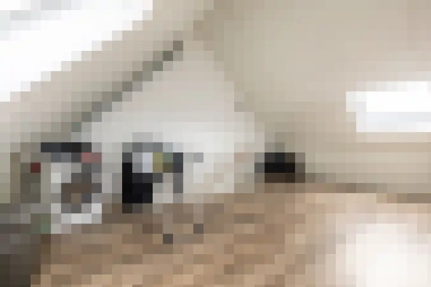 Gooise Kant 117 Amsterdam thumbnail 35