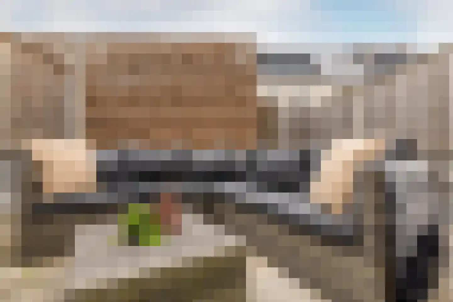 Gooise Kant 117 Amsterdam thumbnail 40
