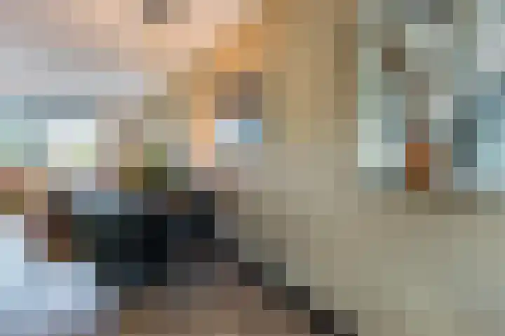 Gooise Kant 12 Amsterdam thumbnail 14