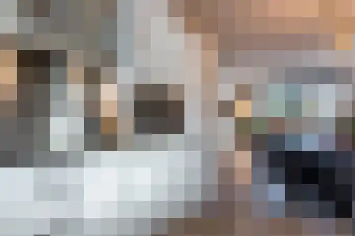 Gooise Kant 12 Amsterdam thumbnail 16