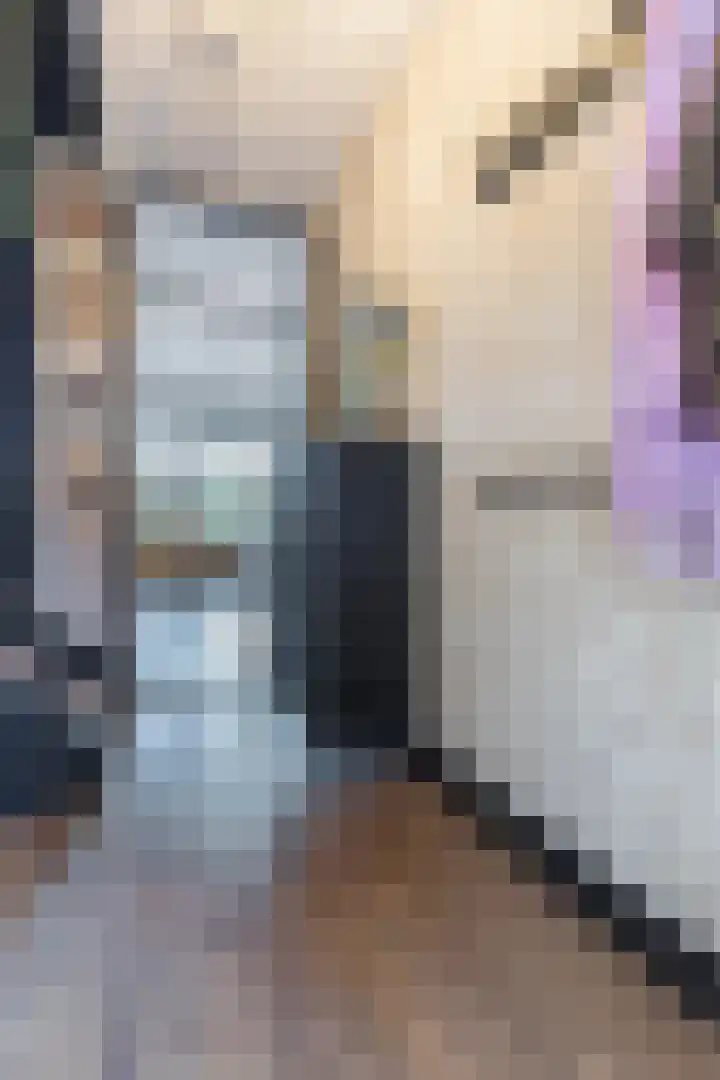 Gooise Kant 12 Amsterdam thumbnail 17