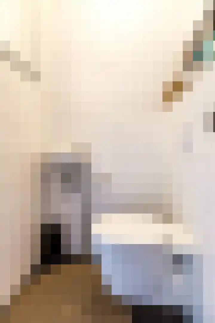 Gooise Kant 12 Amsterdam thumbnail 18