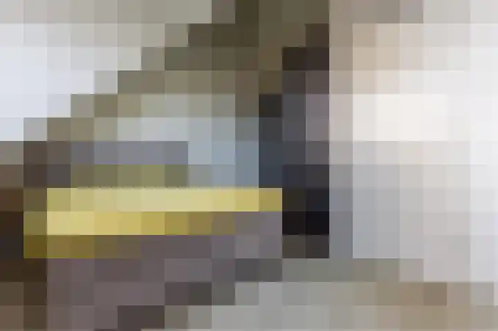 Gooise Kant 12 Amsterdam thumbnail 24